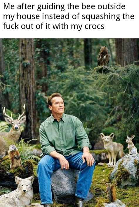 arnold schwarzenegger forest meme